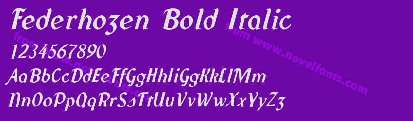 Federhozen Bold ItalicPreview