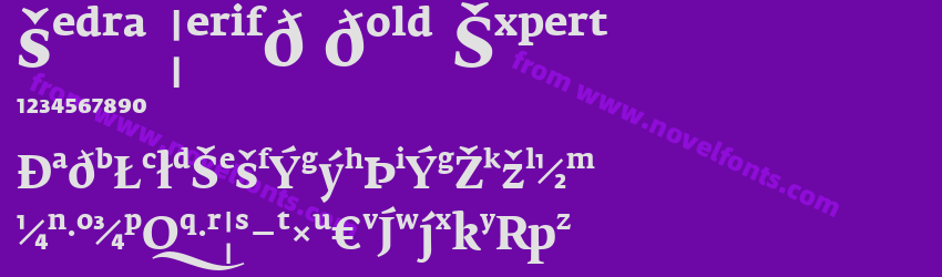 Fedra SerifB Bold ExpertPreview