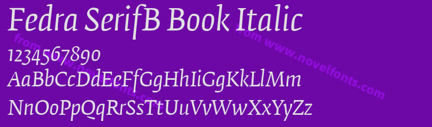 Fedra SerifB Book ItalicPreview