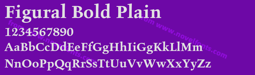 Figural Bold PlainPreview