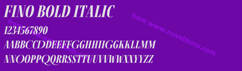 Fino Bold ItalicPreview