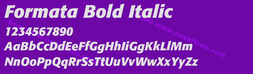 Formata Bold ItalicPreview