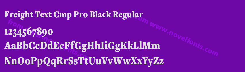 Freight Text Cmp Pro Black RegularPreview