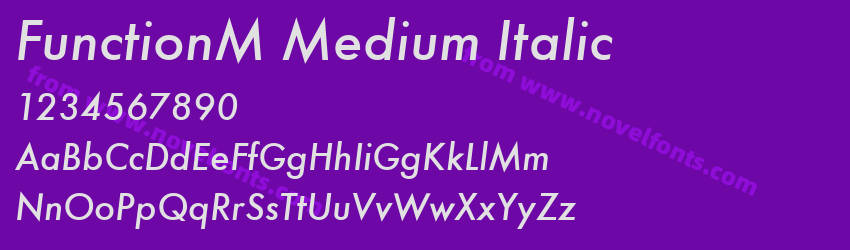 FunctionM Medium ItalicPreview