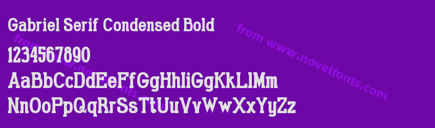 Gabriel Serif Condensed BoldPreview