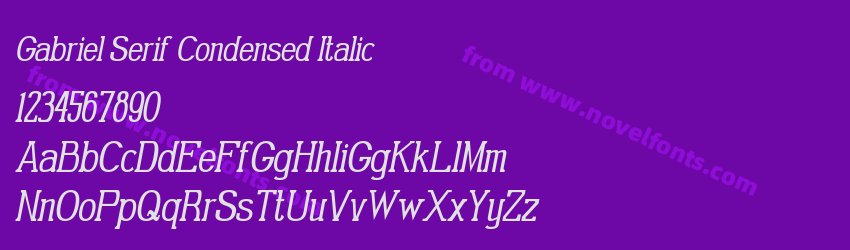 Gabriel Serif Condensed ItalicPreview