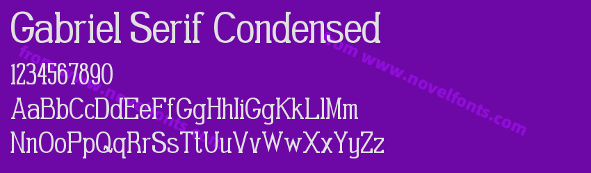 Gabriel Serif CondensedPreview