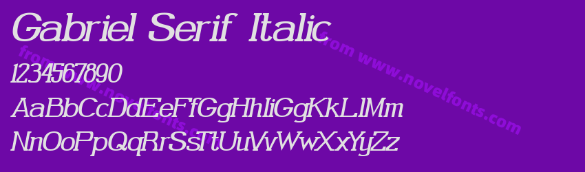 Gabriel Serif ItalicPreview