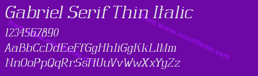 Gabriel Serif Thin ItalicPreview