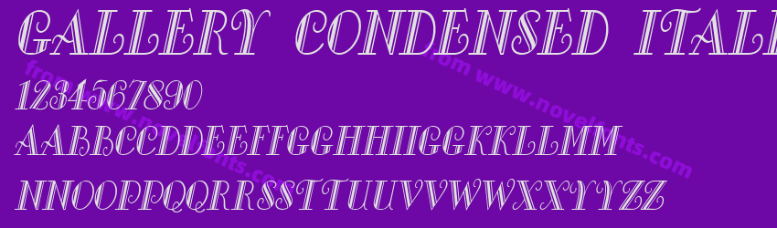 Gallery Condensed ItalicPreview