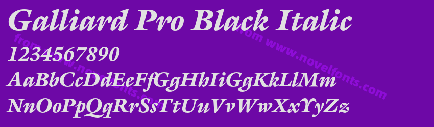 Galliard Pro Black ItalicPreview