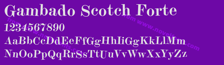 Gambado Scotch FortePreview