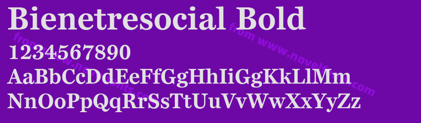 Bienetresocial BoldPreview