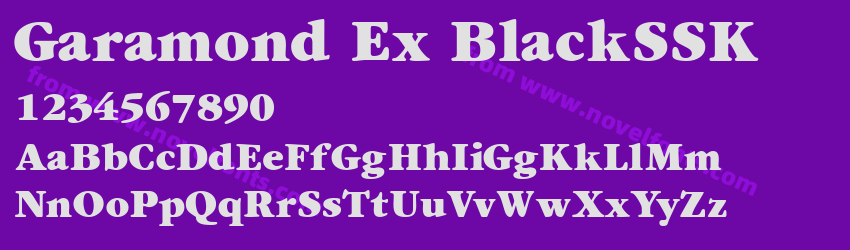 Garamond Ex BlackSSKPreview