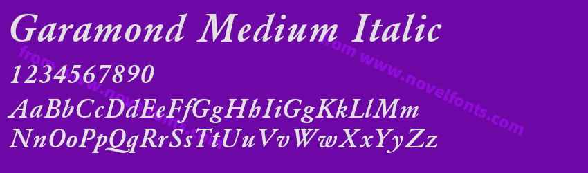 Garamond Medium ItalicPreview