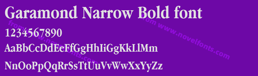 Garamond Narrow Bold fontPreview