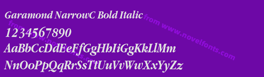 Garamond NarrowC Bold ItalicPreview