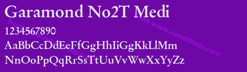 Garamond No2T MediPreview