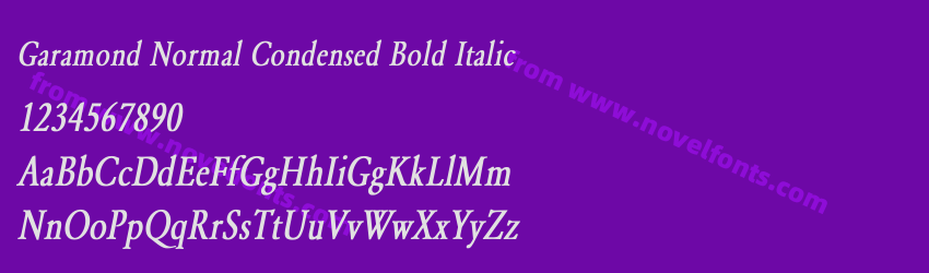 Garamond-Normal Condensed Bold ItalicPreview