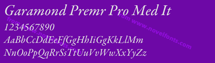 Garamond Premr Pro Med ItPreview