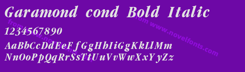 Garamond cond Bold ItalicPreview