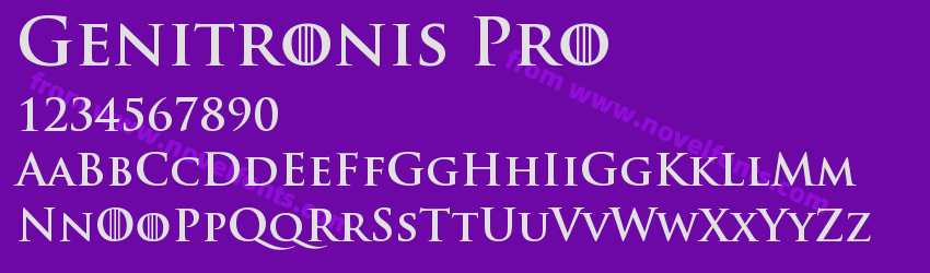 Genitronis ProPreview