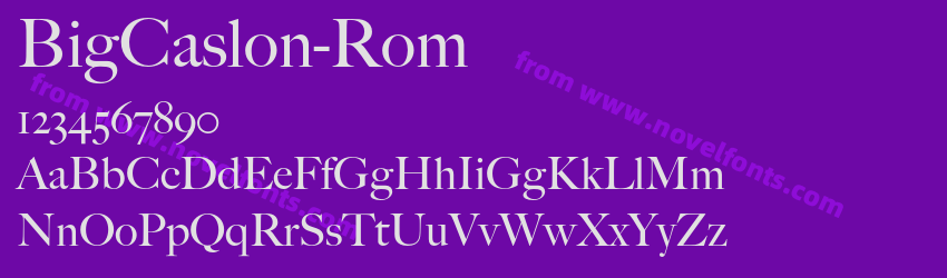 BigCaslon-RomPreview