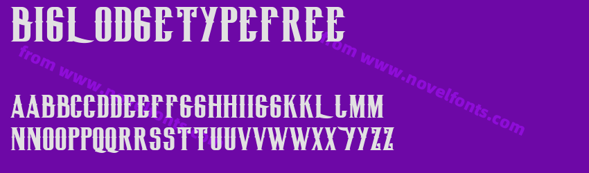 BigLodgeTypeFreePreview