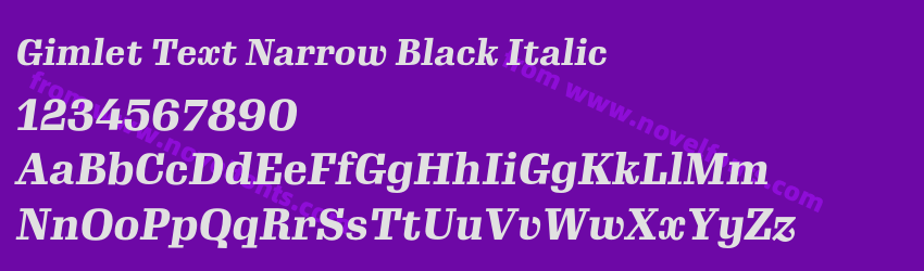 Gimlet Text Narrow Black ItalicPreview