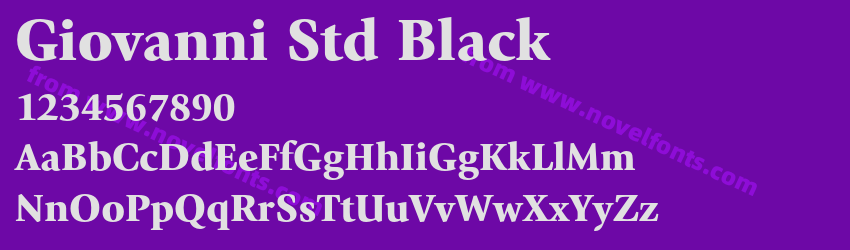 Giovanni Std BlackPreview