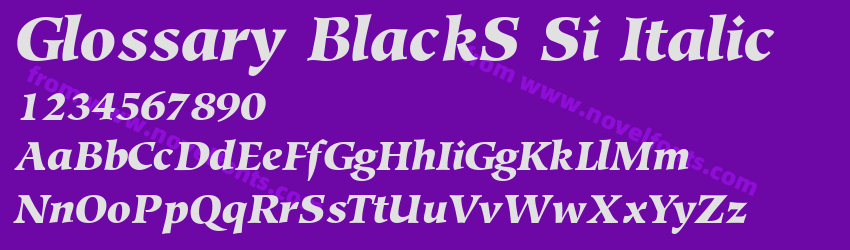 Glossary BlackS Si ItalicPreview