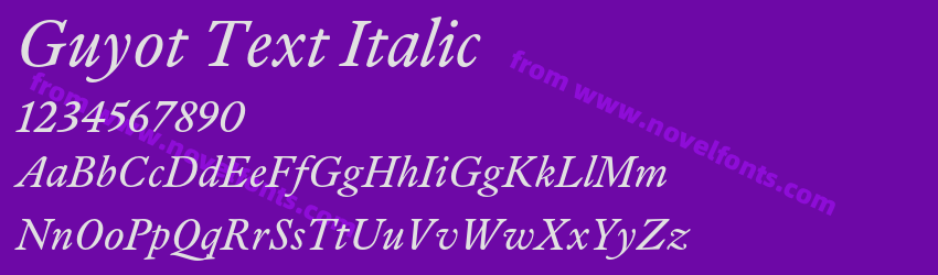 Guyot Text ItalicPreview