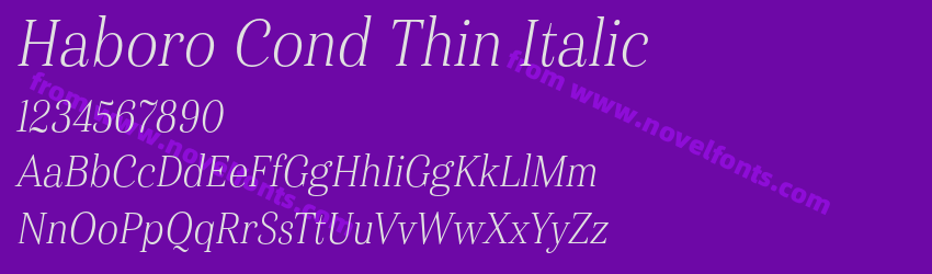 Haboro Cond Thin ItalicPreview