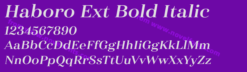 Haboro Ext Bold ItalicPreview