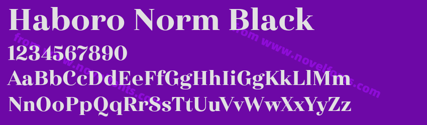 Haboro Norm BlackPreview