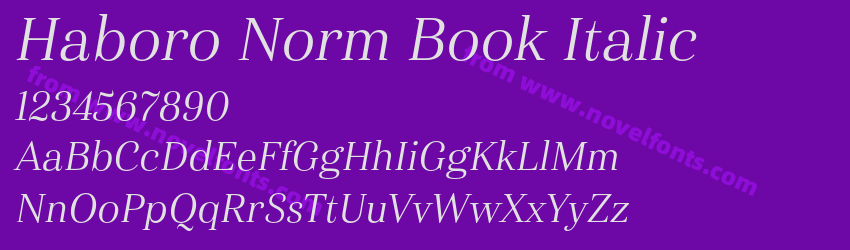 Haboro Norm Book ItalicPreview