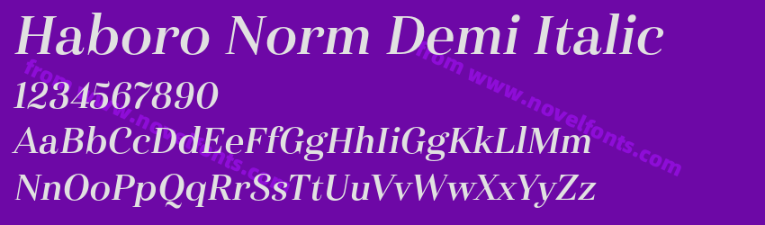 Haboro Norm Demi ItalicPreview