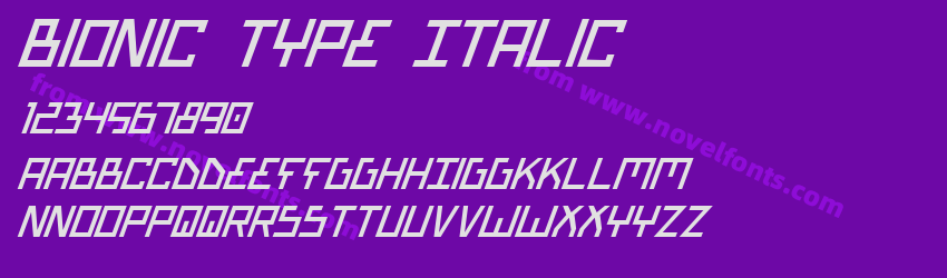 Bionic Type ItalicPreview