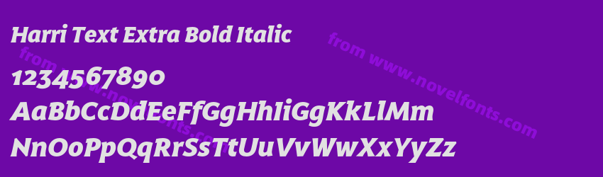 Harri Text Extra Bold ItalicPreview