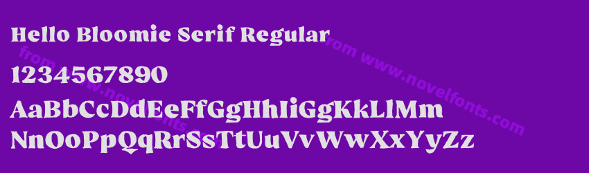 Hello Bloomie Serif RegularPreview