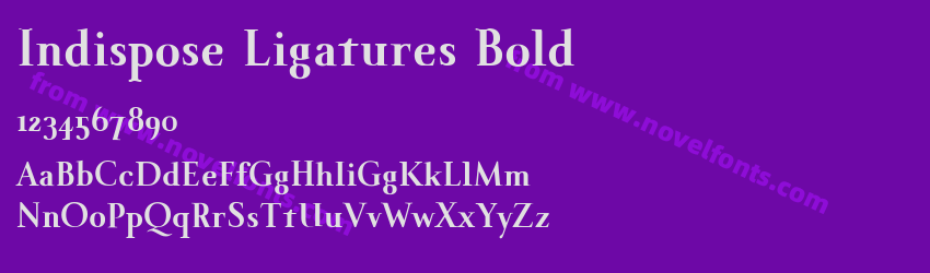 Indispose Ligatures BoldPreview