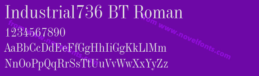 Industrial736 BT RomanPreview