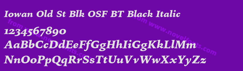 Iowan Old St Blk OSF BT Black ItalicPreview