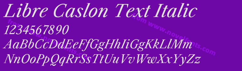 Libre Caslon Text ItalicPreview