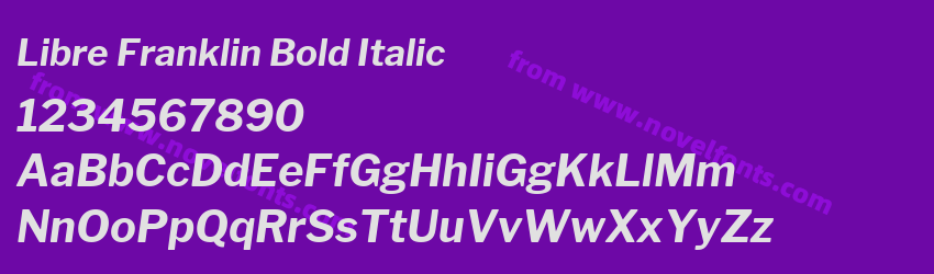 Libre Franklin Bold ItalicPreview