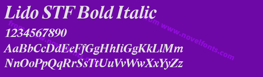 Lido STF Bold ItalicPreview