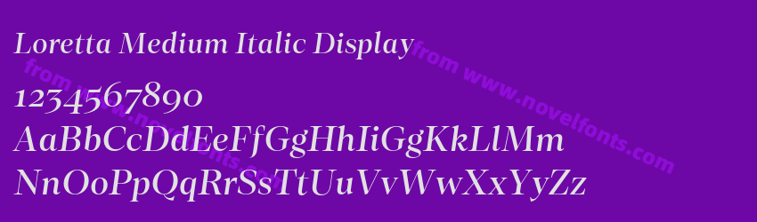 Loretta Medium Italic DisplayPreview