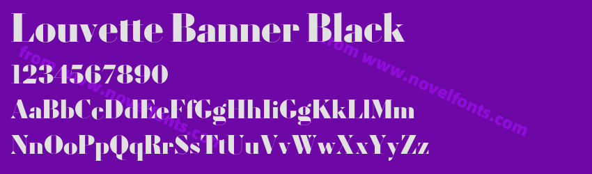 Louvette Banner BlackPreview