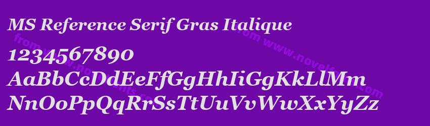 MS Reference Serif Gras ItaliquePreview