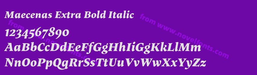 Maecenas Extra Bold ItalicPreview